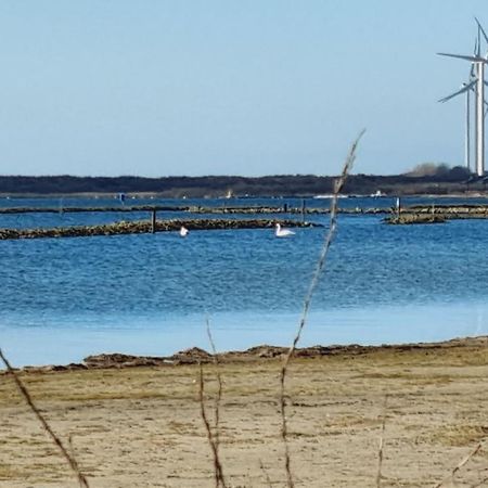 Beach Lodges Oostvoorne Eksteriør bilde